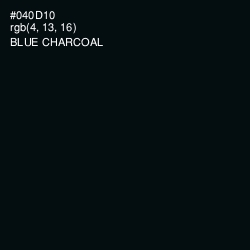 #040D10 - Blue Charcoal Color Image